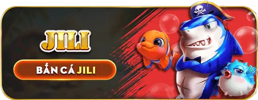 Hình ảnh liên hệ cán bộ bảo vệ dữ liệu của bonusfreebet win